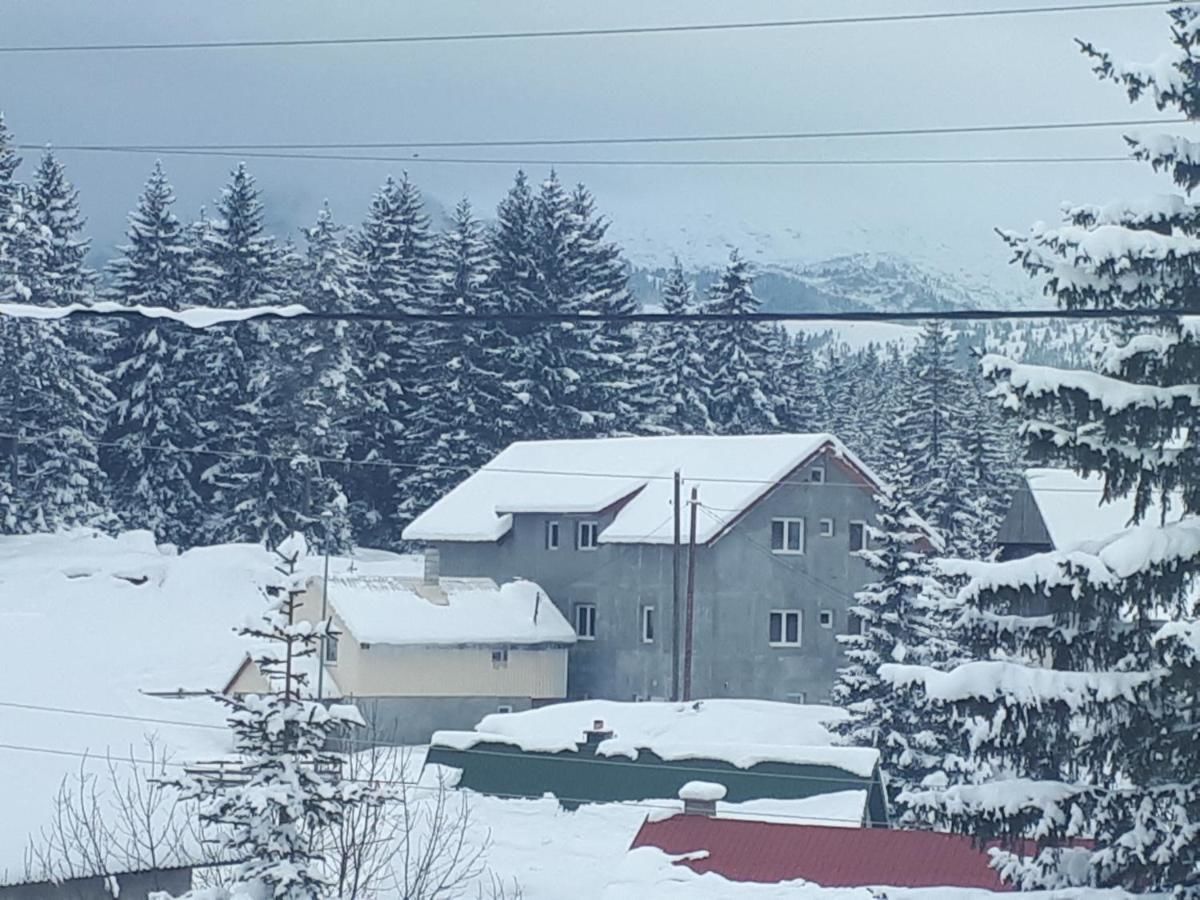 Гостевой дом Rondović Apartmani - Durmitor Жабляк-13