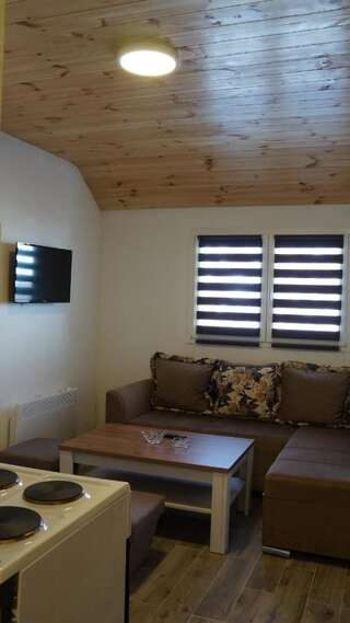 Гостевой дом Rondović Apartmani - Durmitor Жабляк Люкс с 1 спальней-11